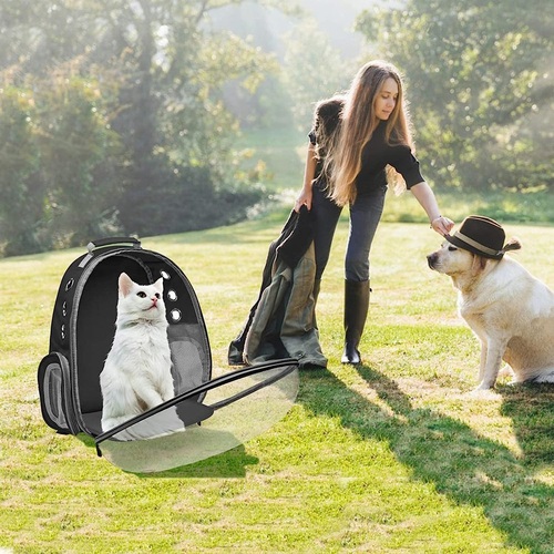 Global developments and trends in the pet industry