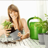 Plant Pots with Drainage Hole and Tray for All Indoor Plants