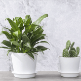 White Decorative Flower Pots for Indoor Plants