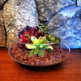Lave Stone For Gardening