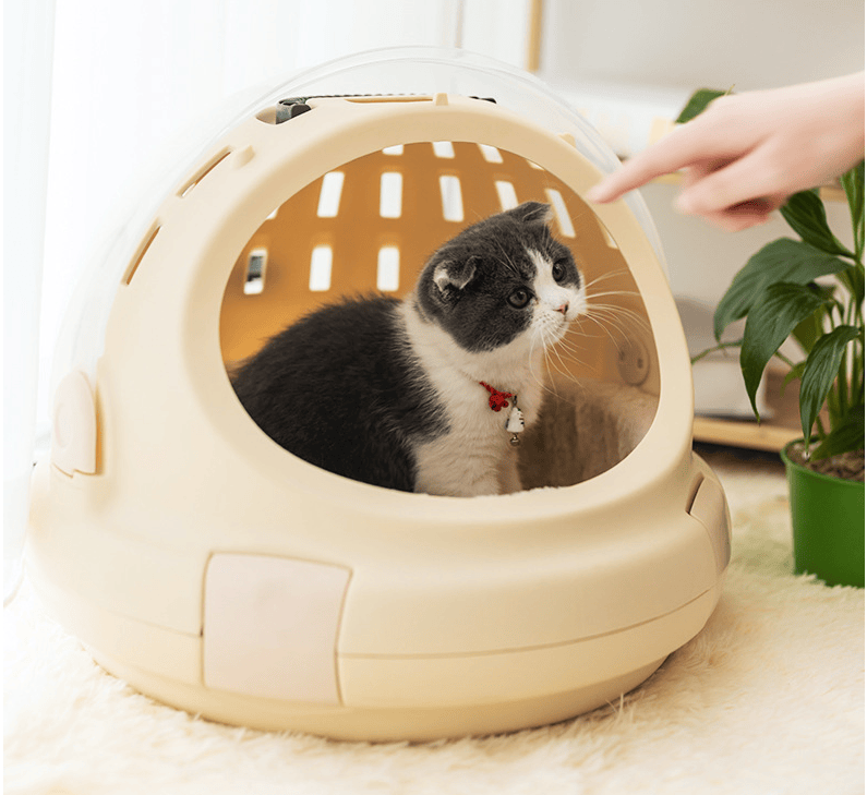 Plastic Cat House Indoor