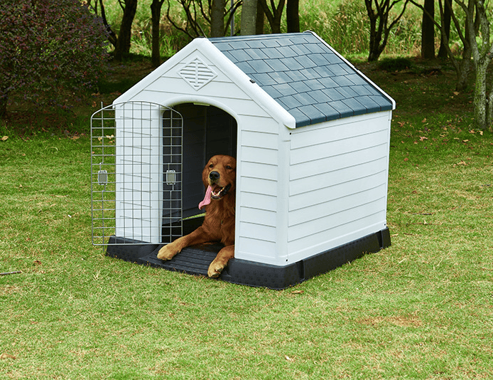 Plastic Dog House