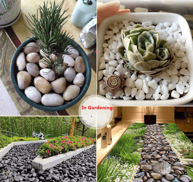Pebbles Stones in Gardening & Landscape