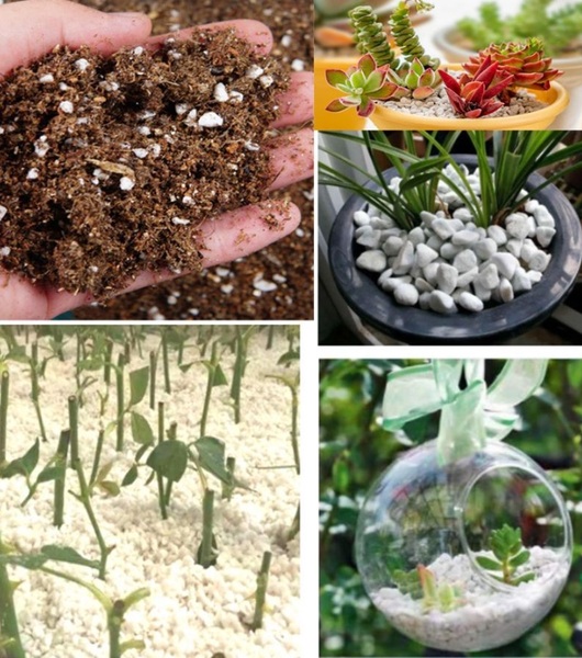 Home and Garden Products B2C e-Commerce Industry to 2024 - Global Market Expected to Grow by $101.