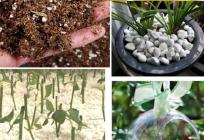 Alusen(Dalian)Gardening Co.,Ltd-pet cage & crate,growing medium for hydroponic,greenhouse,pet carrie