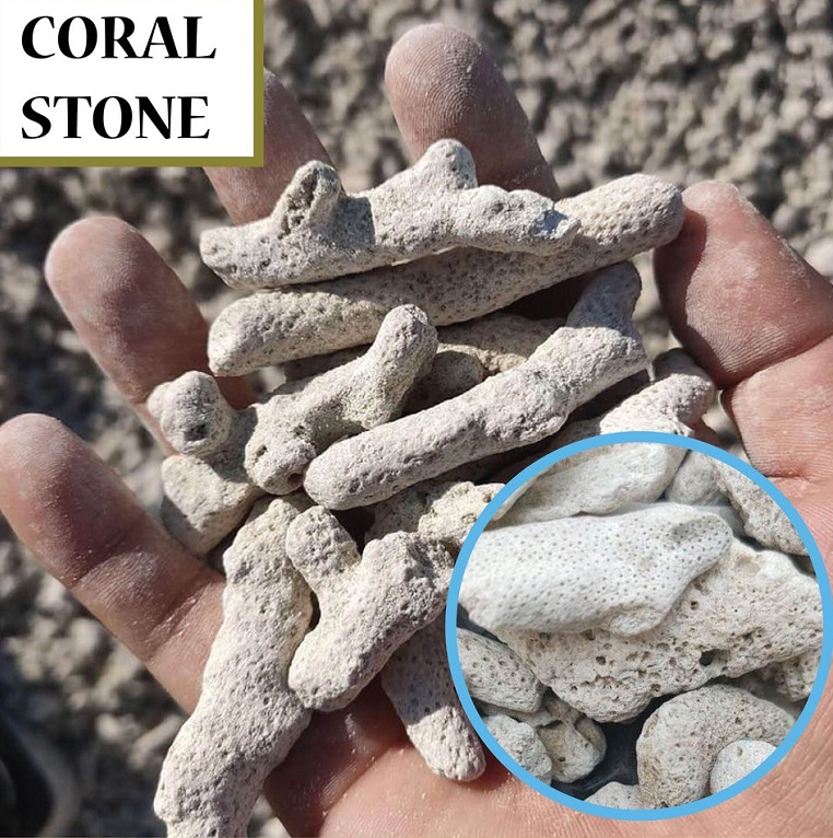 Aquarium Coral Stone 1-5