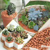 Expandable Clay Balls 2-4