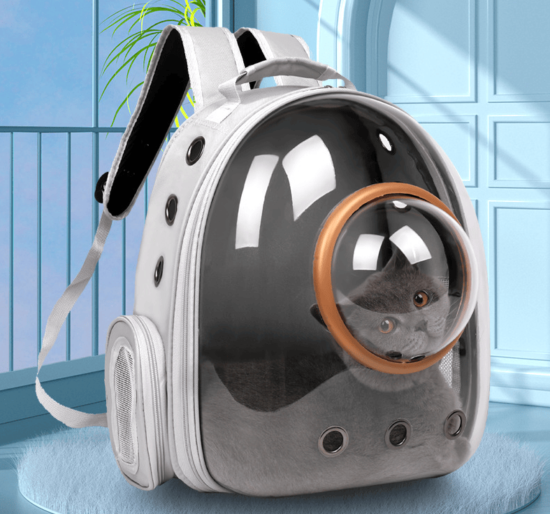Airline Approved Travel Pet Carrier