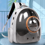 Airline Approved Travel Pet Carrier