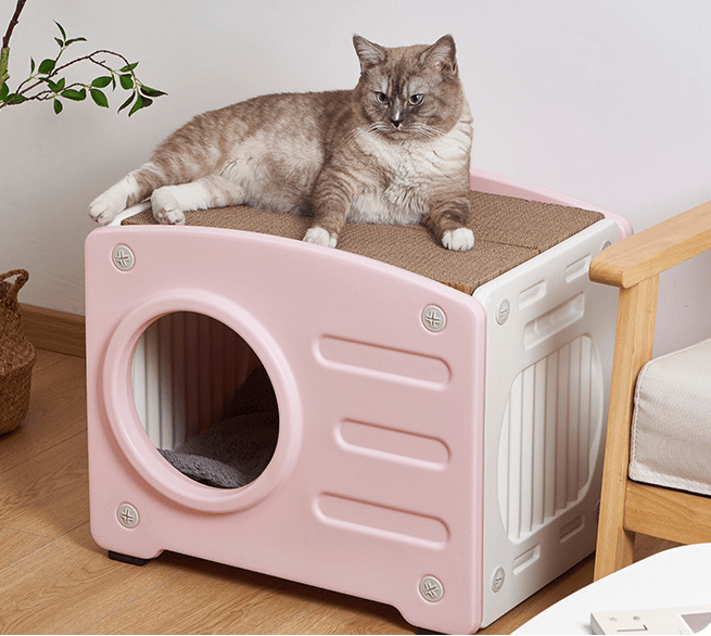 Pet Beds for Indoor