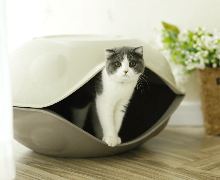 Pet House in Home
