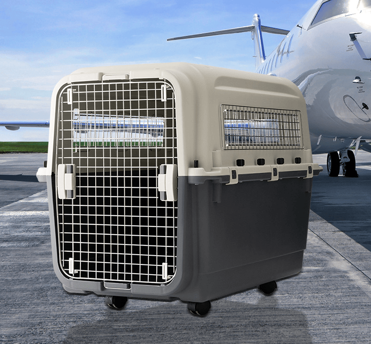 Pet Carrier by Air